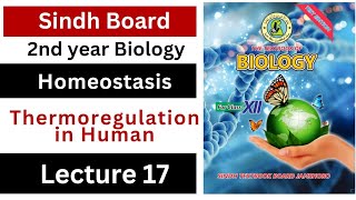 Thermoregulation in humans  homeostasis  class 12 biology Sindh board New book [upl. by Conias]