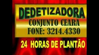 DEDETIZAÇÃO CONJUNTO CEARA 32144330 DEDETIZADORA [upl. by Ziom]