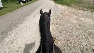 Ropin and ranch classes [upl. by Meryl]