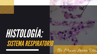 Histología del sistema respiratorio  CIAH [upl. by Brandenburg]