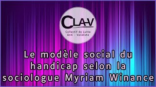 Le modèle social du handicap selon la sociologue Myriam Winance  Luck amp Lemmi [upl. by Davidde819]