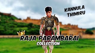 RAJA PARAMBARAI collection 🔥😂😍  harishhatricks comedy youtube [upl. by Hgierb]