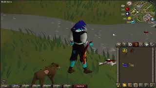 OSRS  Bulwark amp Blowpipe Kit Including new blowpipe special [upl. by Aneej465]