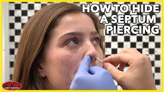 How To Hide A Septum Piercing [upl. by Malvie]