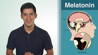 What Is  Melatonin [upl. by Nonnaihr711]