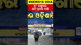 Odisha Rain  ୪୮ ଘଣ୍ଟାରେ ପ୍ରବଳ ବର୍ଷା  Low Pressure Intensifies Into DepressionHeavy Rainfall [upl. by Arlana]