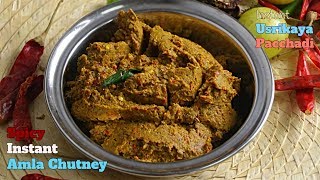 Instant Spicy Amla Chutneyఉసిరికాయ పచ్చడివారం పాటు నిలవుంటుంది ఈ పచ్చడి మర్చిపోలేరు దీని రుచి [upl. by Limak]