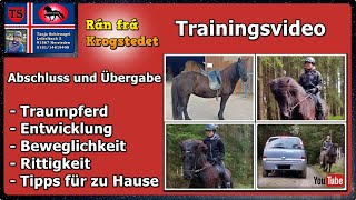 Rán Isländer Islandpferd Stute Pferdetraining Tipps aus Unterricht Tanja Schienagel [upl. by Maddalena309]