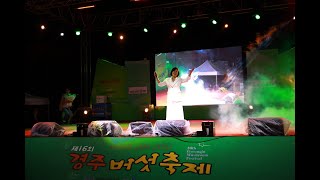 한혜진 갈색추억 경주여행 gyeongju 건천버섯축제 돌아설때 korea [upl. by Krigsman817]