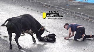 05102024 Tourada à Corda São Mateus Ganadeiro HF AÇORES [upl. by Jami]