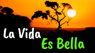 Ama La Vida y La Vida Te Amará ¦ Gratitud Frases Reflexiones Motivación [upl. by Ot]