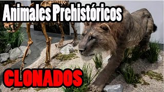 Los Primeros Animales Prehistóricos que serán Clonados [upl. by Ecirtaemed251]