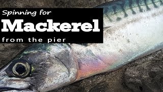 Spinning for Mackerel from the pier  Sea Fishing UK [upl. by Teddi]