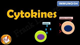 CYTOKINES  ILs INFs TNFs CSFs and Chemokines FLImmuno04 [upl. by Ydneh]