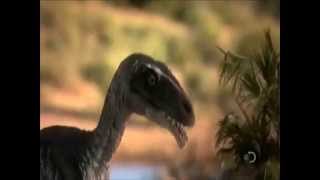 Ornitholestes tribute 2 [upl. by Florenza]