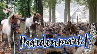 Vlog23 Ponys redden van de slacht  Paardenmarkt Zuidlaren [upl. by Krall]