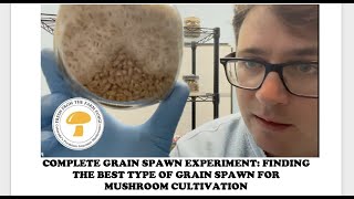 Grain Spawn Experiment FULL Finding the best type of grains for mushroom farming [upl. by Zippel100]