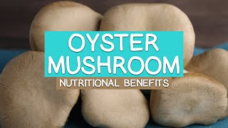 The Oyster Mushroom  Benefits and Nutrition Facts [upl. by Goober]