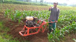 Mesin danger jagung rokal [upl. by Attenad]