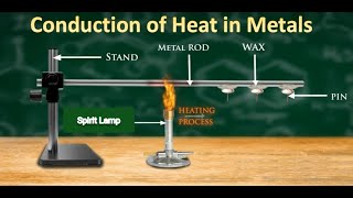 Lab Manual Science CBSE Class 10 Experiment No 3 Reactivity of Metals [upl. by Malory]