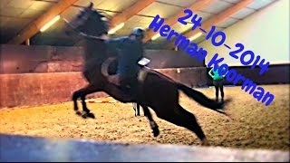 Praktisch met paarden HD Herman Koorman ZADELMAK MAKEN [upl. by Al]