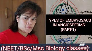 TYPES OF EMBRYOSAC IN ANGIOSPERMS PART1 [upl. by Lancaster813]