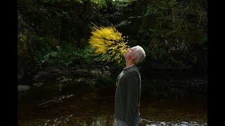 Leaning into the Wind – Andy Goldsworthy 2017 Trailer [upl. by Gilemette]