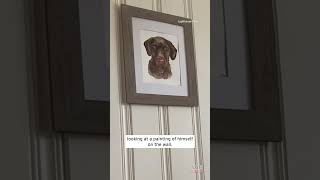 Chocolate Lab Confused by Painting of Himself shorts [upl. by Ciro]