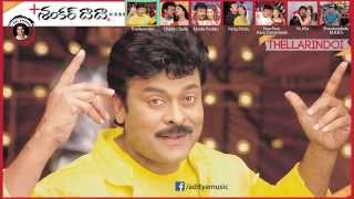 Shankardada M B B S Movie  Full Songs Jukebox  Chiranjeevi Sonali Bindre [upl. by Rik931]