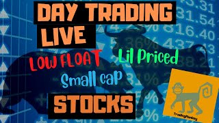 Live day trading scalping small account live stream on thinkorswim [upl. by Nahgeem]