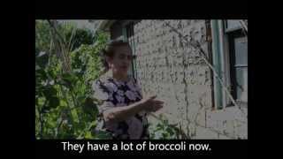 Accessing Wisdom Cooking Rapini Rapa with Maria Macchione [upl. by Peckham]