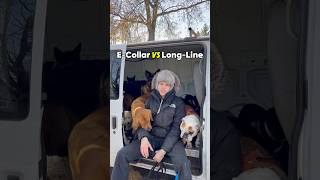 Exploring the pros and cons of ecollars vs longline leashes dog dogleash dogtraining [upl. by Heger]