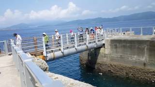 Gunkanjima Island Nagasaki Japan [upl. by Ecinad]