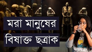 যে ভয় ছিল ইতিহাসে চাপা মারণরূপে দিচ্ছে দেখা  Guanajuato Mummies [upl. by Ecirual459]