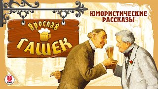 ЯРОСЛАВ ГАШЕК «ЮМОРИCТИЧЕСКИЕ РАССКАЗЫ» Аудиокнига Читают Александр Клюквин Александр Котов [upl. by Granniah2]