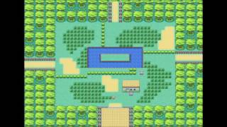 Safari ZoneEvolution HQ OST Pokemon Fire Red amp Leaf Green [upl. by Fesoy]