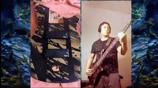 Fairies Wear Boots  Black Sabbath  Bass Cover [upl. by Llevad]