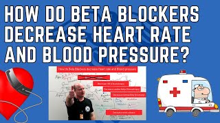 How do Beta Blockers Decrease Heart Rate and Blood Pressure [upl. by Hairahs]