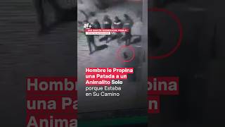 Denuncian de maltrato animal a hombre de Puebla por patada captada en video  N Shorts [upl. by Recneps]