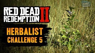 Red Dead Redemption 2 Herbalist Challenge 5 Guide  Craft 9 items using Indian Tobacco [upl. by Gnud]