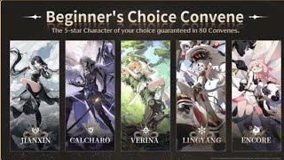 IS BEGINNER CHOICE CONVENE BANNER WORTH IT WUTHERING WAVES [upl. by Lemej933]