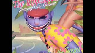 The Rippingtons  Life In The Tropics [upl. by Holladay]