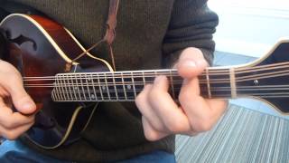 Blackberry Blossom with Tabs  Mandolin Lesson [upl. by Kenward604]