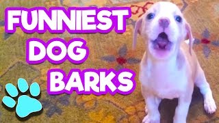 The Funniest Dog Barks Youve Ever Heard  Try Not To Laugh  thatpetlife [upl. by Ettigirb]