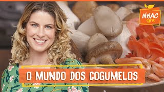 TUDO SOBRE OS COGUMELOS veja como lavar guardar e cozinhar esses ingredientes  Cozinha Prática [upl. by Trudi]