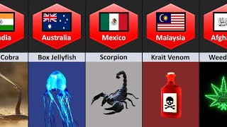 Most Dangerous Poison From Different Countries [upl. by Eednak263]