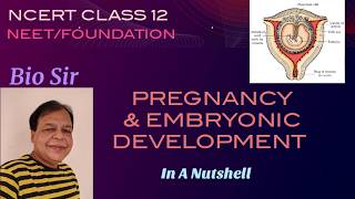 Pregnancy and Embryonic Development Human Reproduction  Class 12 [upl. by Milo]