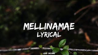 Mellinamae Mellinamea Cover Song Lyrics [upl. by Fuhrman]