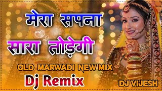 Mera Sapna Sara Todgi Song Dj RemixFullPowerMixNew Song 2024  Dj Remix 2024 [upl. by Elvina957]