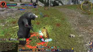 LOTRO  Maddened Animal Hunt  Blackroot Vale  Blaze Robbins Gaming [upl. by Asirrac343]